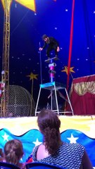 Circus Performer Drops Pole On Man's Head
