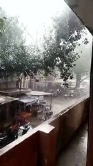 मौसम में ठंडक झमाझम हुई बरसात,देखे वीडियो