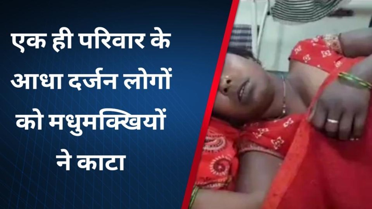 भिण्ड: एक ही परिवार के आधा दर्जन लोगों पर मधुमक्खियों ने किया हमला, उपचार जारी