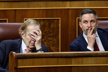 Ramón Tamames: "Ahora ser antifranquista no tiene ningún mérito"