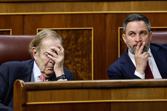 Ramón Tamames: Ahora ser antifranquista no tiene ningún mérito