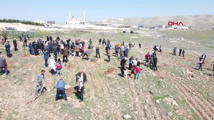 BATMAN'DA DEPREMDE HAYATINI KAYBEDENLER İÇİN HATIRA ORMANI KURULDU