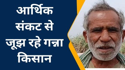 महराजगंज: चीनी मिलों पर गन्ना गिराकर भुगतान के लिए भटक रहें किसान