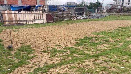 Boş arsadaki yüzlerce karınca yuvası görenleri şaşkına çevirdi