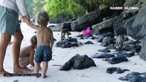 Tatilde korku dolu anlar! Babunlar 1 yaşındaki çocuğu avlamak için böyle harekete geçti