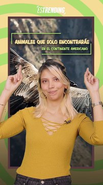 Si vives en América siéntete afortunado: en este lugar hay especies maravillosas