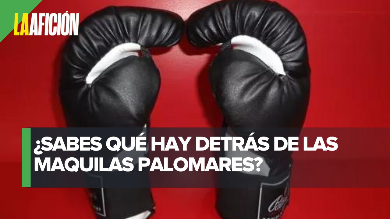 ¿Sabes cómo se hacen los guantes de box Palomares? | La otra visión del deporte