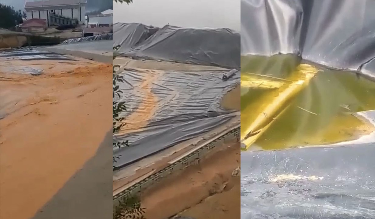 Bu görüntüler ilk kez çekildi! Dereye siyanür akıtırken suçüstü yakalandılar