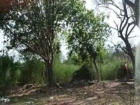 video: सहकारी चीनी मिल के गोदाम की खिड़की तोड चुरा ले गए कीमती सामान