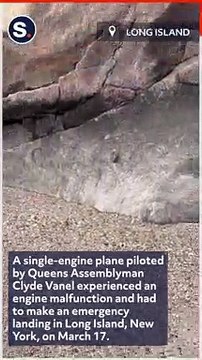 Plane Piloted by Queens Assemblyman Makes Emergency Landing on Long Island Beach