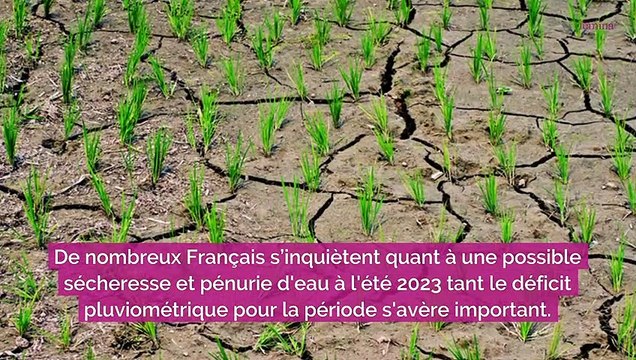 Est-ce que nous allons faire face à des pénuries d'eau cet été ?