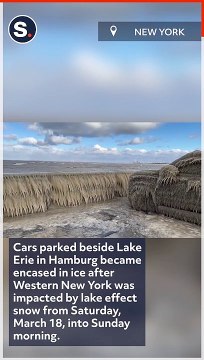 Ice Encases Cars Beside Lake Erie