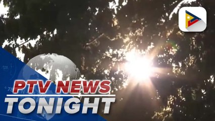 Sunburn Relief: Effective Tips to Soothe and Heal Your Skin ☀️