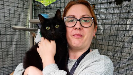 Purrfect Reunion: Emotional Moment When Cat and Owner Reunite After Six Years Apart
