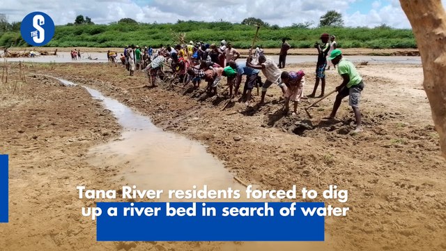 Tana River residents forced to dig up a river bed in search of water