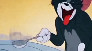 Tom And Jerry Classic Cartoons Fun And So Funny shorts videos