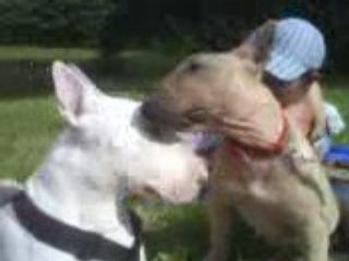 Mamba et Chelie aux 12 lacs