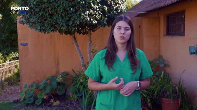 Veterinários Todo o Terreno, Episódio 21