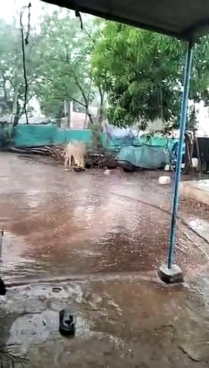 40 किमी प्रति घंटा की रफ्तार से चली हवा, खैजरा...