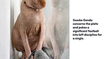 Considerations To Know About Japan vs usa