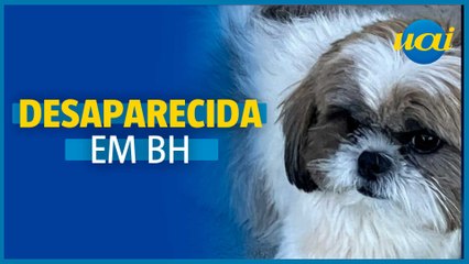 Instituição para idosos procura cachorrinha que fugiu na Pampulha