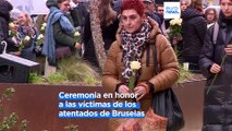 Séptimo aniversario de los atentados yihadistas de Bruselas de 2016