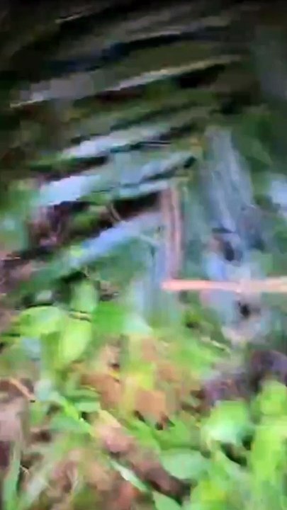 Paranormal activity ghost on camera part 111