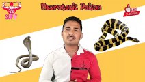 सांप के काटने से इंसान क्यों मर जाता है । SNAKE BITE ।  Bite Treatment । सांप के बारे में जानकारी ।