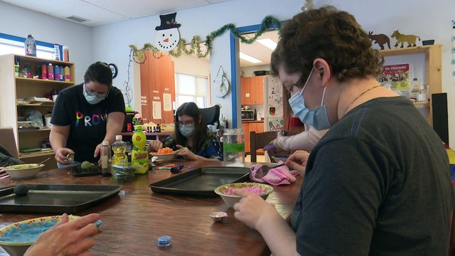 22 mars TOPO LPM Buget Gaspesie