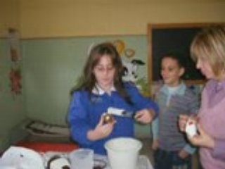 PROGETTO COMENIUS 2007-08 ALIMENTAZIONE