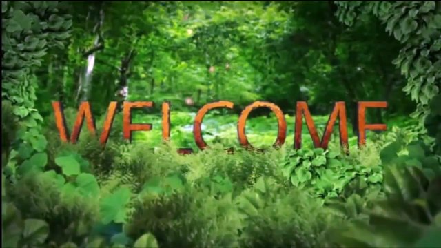 Funny Animals - Funny Animals Compilation! (Cute Dogs and Cats)