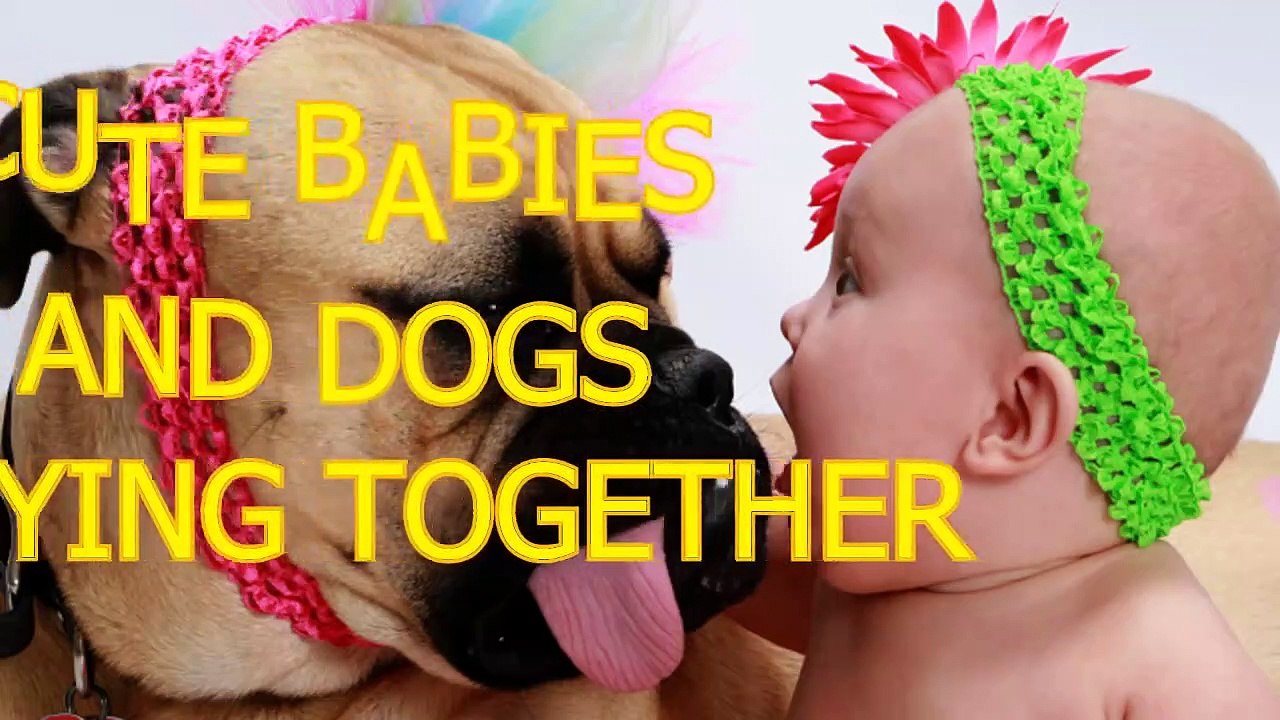 Cute babies and dogs playing together - Funny baby & dog compilation