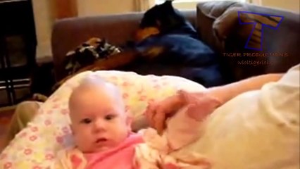 Cute dogs feel jealous - Funny jealous dogs compilation