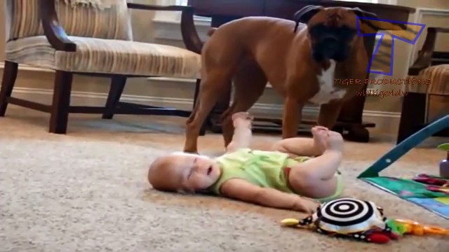 Dogs are great babysitters and nannies - Cute dog & baby compilation