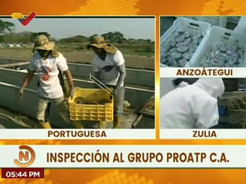 Portuguesa | Grupo Proatp C.A. garantiza eficiencia e innovación en la cría de peces