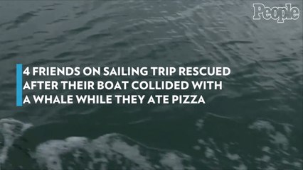 4 Friends on Sailing Trip Rescued After Their Boat Collided With a Whale While They Ate Pizza