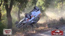Compilation rally crash and fail 2017 HD Nº25
