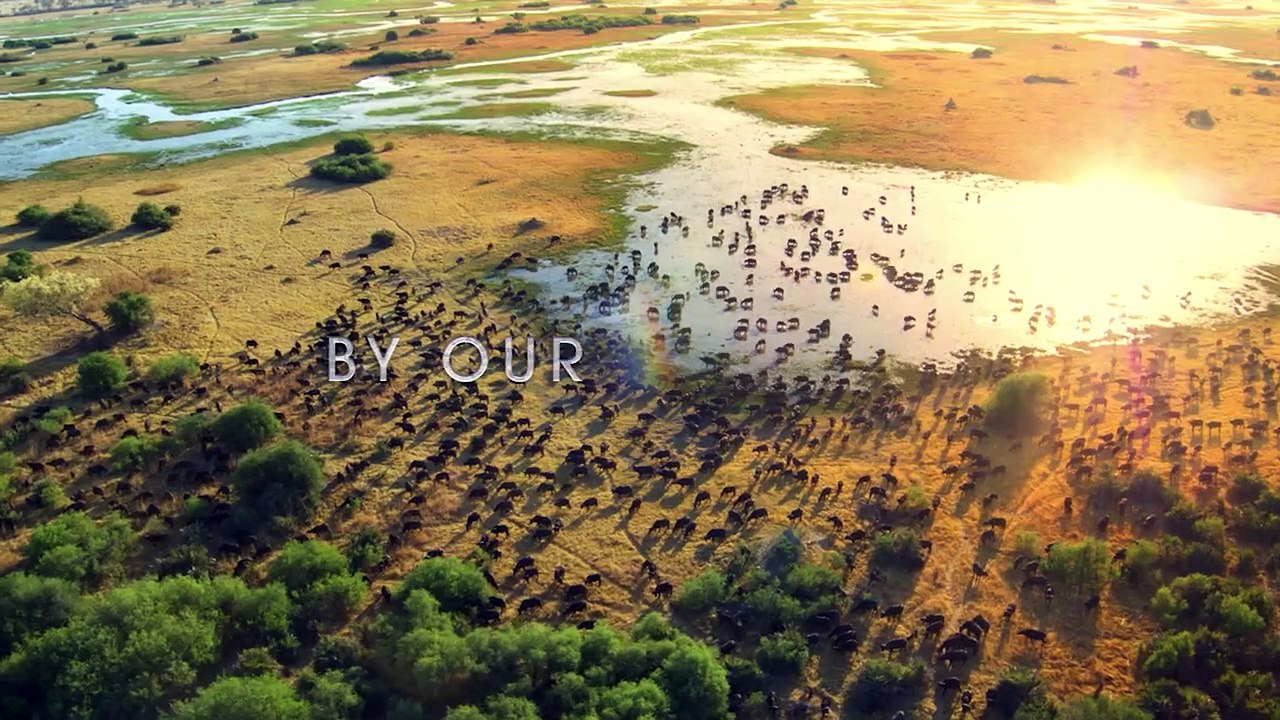 A Year On Planet Earth | show | 2022 | Official Trailer