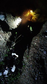 Boru hattından sızan ham petrol Dicle Nehri'ne aktı