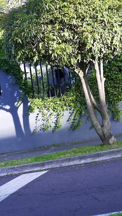 Corre que te cojo 