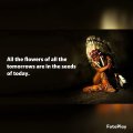 Native American Proverb