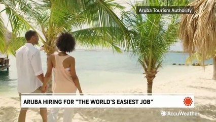 Aruba hiring for what they call 'the world's easiest job'