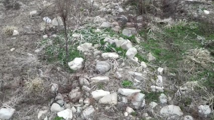 [더뉴스] '제한급수 초읽기'...50년 만 최악의 가뭄에 '애타는 남도' / YTN