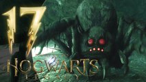 Hogwarts Legacy Walkthrough Part 17 (PS5) No Commentary