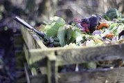 Bras-Panon première commune de l'île à valoriser les biodéchets de ses cantines scolaires