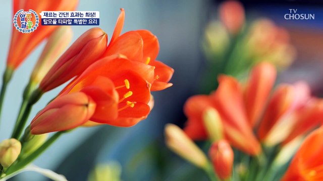 탈모를 극복하고 풍성한 모발을 되찾은 주인공의 비법 TV CHOSUN 230323 방송