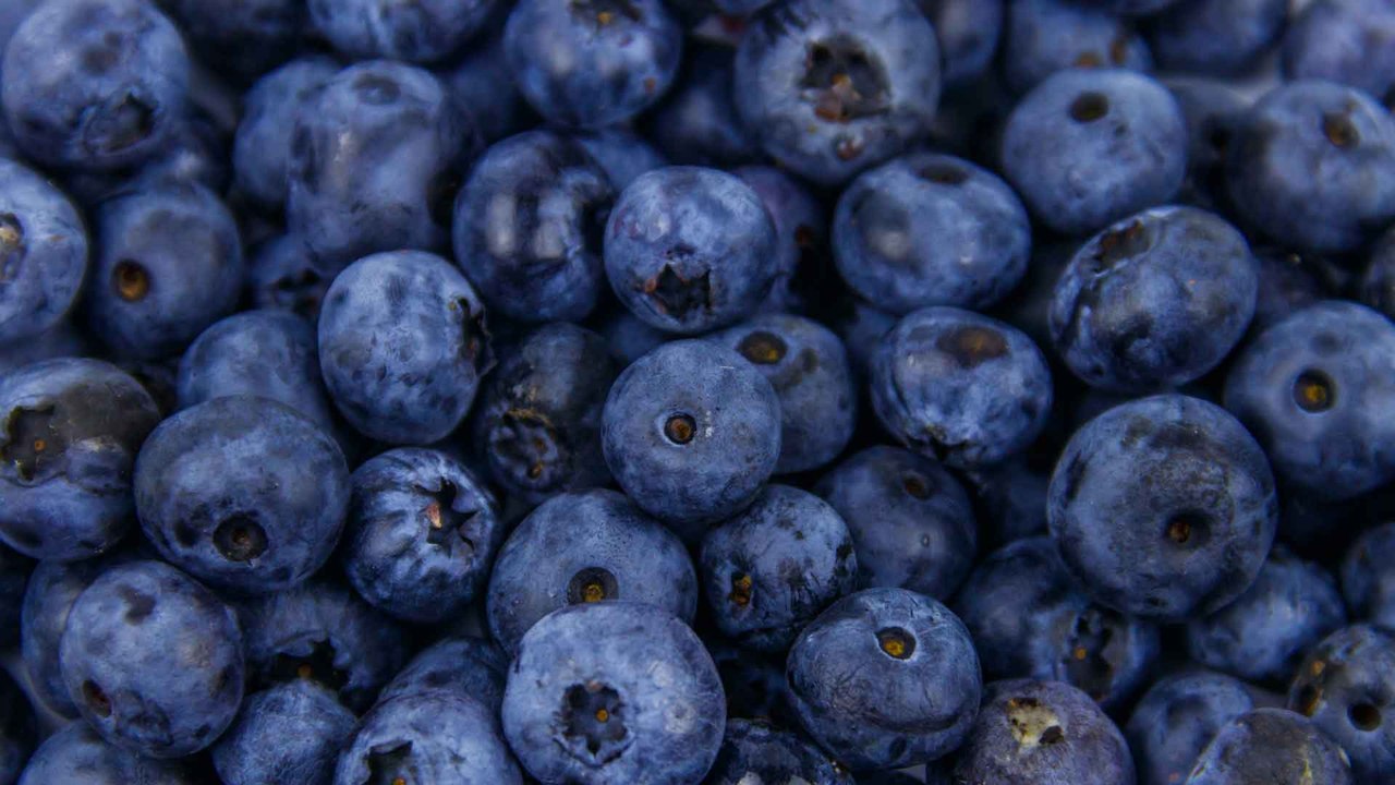 Diese Lebensmittel sind reich an Antioxidantien