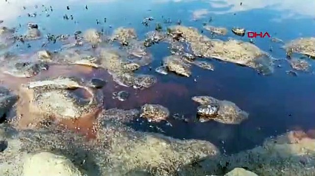 Batman'da petrol boru hattında sızıntı meydana geldi