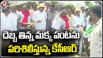 CM Reached Ravinuthala village under Bonakal Mandal , Interacted With Farmers  _ V6 News