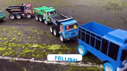 Trucks are neatly lined up looking for toys in the middle of a dense forest